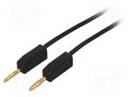 Test lead; banana plug 2mm,both sides; Len: 1m; black 