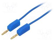 Test lead; banana plug 2mm,both sides; Len: 0.5m; blue 