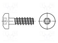 Screw; for plastic; 2.5x8; Head: cheese head; Torx® PLUS; 8IP 