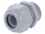 Cable gland; M25; 1.5; IP68,IP69K; polyamide; dark grey; SKINTOP® LAPP