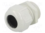 Cable gland; M32; 1.5; polyamide; light grey LAPP