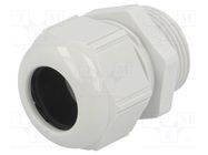 Cable gland; M25; 1.5; polyamide; light grey LAPP