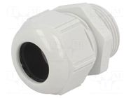 Cable gland; M25; 1.5; polyamide; light grey; SKINTOP® LAPP