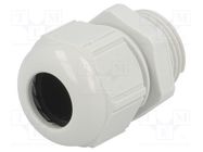 Cable gland; M20; 1.5; polyamide; light grey LAPP