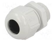 Cable gland; M20; 1.5; polyamide; light grey; SKINTOP® LAPP