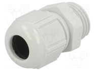 Cable gland; M16; 1.5; polyamide; light grey LAPP