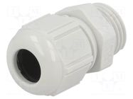 Cable gland; M16; 1.5; polyamide; light grey; SKINTOP® LAPP