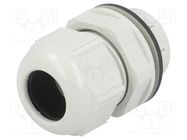 Cable gland; IP68; polyamide; light grey; push-in; SKINTOP® CLICK LAPP