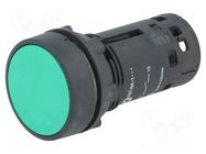Switch: push-button; 22mm; Stabl.pos: 1; NO; green; none; IP65; flat SCHNEIDER ELECTRIC
