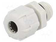 Cable gland; M12; 1.5; IP68; polyamide; grey; UL94V-2 BM GROUP