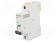 Circuit breaker; 230VAC; Inom: 1A; Poles: 1; for DIN rail mounting SCHNEIDER ELECTRIC