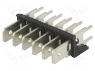 Terminal: spade terminal strip; 6.3mm; 0.8mm; THT; steel; tinned KEYSTONE