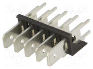 Terminal: spade terminal strip; 6.3mm; 0.8mm; THT; steel; tinned KEYSTONE