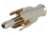 Connector: RCA; socket; female; straight; crimped; brass; for cable KEYSTONE