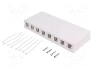 Case RJ45; socket; Keystone,unshielded; white; wall mount; female LOGILINK