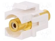 Transition: coupler; socket; female x2; straight; gold-plated 