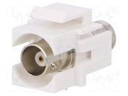 Coupler; socket; BNC socket x2; female x2; straight; 50Ω; Keystone 