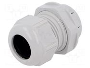 Cable gland; IP68; polyamide; light grey; push-in; SKINTOP® CLICK LAPP