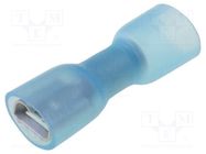 Terminal: flat; 6.3mm; 0.8mm; female; 1.5÷2.5mm2; crimped; blue NINIGI