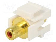 Transition: coupler; socket; female x2; straight; gold-plated 