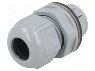 Cable gland; IP68; polyamide; dark grey; push-in; SKINTOP® CLICK LAPP