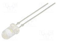 LED; 5mm; white cold; 12000÷18000mcd; 22°; Front: convex; 2.8÷4VDC LUCKYLIGHT