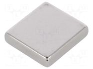 Magnet: permanent; neodymium; 50N; H: 4mm; W: 16.5mm; L: 18mm ELESA+GANTER