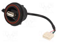 Cable; USB Buccaneer; 5pin socket,USB A socket; 0.132m; IP68 BULGIN