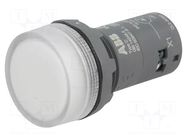 Control lamp; 22mm; CL2; Illumin: LED; Ø22mm; IP66,IP67,IP69K ABB