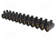 Connector: terminal block; 750V; screw terminal; black; polyamide SIMET