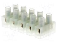 Connector: terminal block; 400V; with wire protector; natural BM GROUP