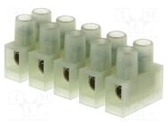 Terminal block; screw terminal; 2.5mm2; 250V; ways: 5; natural BM GROUP