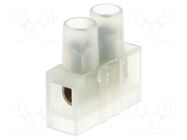 Connector: terminal block; 250V; with wire protector; natural BM GROUP