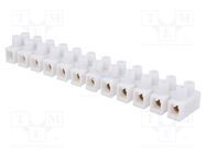 Terminal block; screw terminal; 6mm2; 400V; 41A; ways: 12; white 