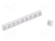 Marker; push-in; white; PVC; 250pcs; 4.5mm; Marking: 21-30 POKÓJ