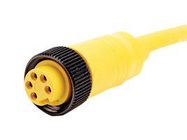 SENSOR CORD, 5P 7/8" RCPT-FREE END, 6.6 