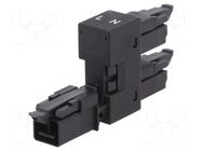 Transition: T adapter; male,female x2; 890; 16A; 250V; ways: 2; Y WAGO