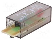 Module protecting; 24VDC; PT SCHRACK