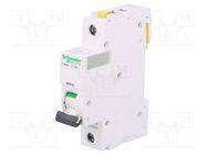 Circuit breaker; 230VAC; Inom: 16A; Poles: 1; Charact: C; 10kA; IP20 SCHNEIDER ELECTRIC