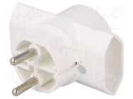 Connector: AC supply; splitter; 2P; Type: round,flat; white 