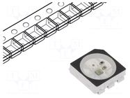 Programmable LED; RGB; SMD; 5050,PLCC6; 3.5÷5.3VDC; 5x5x1.6mm WORLDSEMI