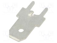 Terminal: flat; 6.3mm; 0.8mm; male; THT; brass; tinned; straight FIX&FASTEN