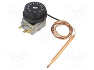 Sensor: thermostat with capillary; SPDT; 10A; 400VAC; ±4°C; BT ARTHERMO