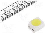 LED; SMD; 3528,PLCC4; white cold; 3000÷4000mcd; 10000K; 120°; 50mA OPTOSUPPLY