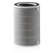 Air cleaner filter