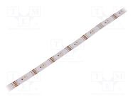 Programmable LED tape; RGB; 5050; 5V; LED/m: 30; 10mm; IP20; 140° WORLDSEMI