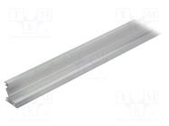 Profiles for LED modules; natural; L: 1m; CORNER14; aluminium TOPMET