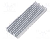 Heatsink: extruded; grilled; natural; L: 100mm; W: 33mm; H: 10mm; raw 