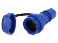 Connector: AC supply; female; socket; 2P+PE; 250VAC; 16A; blue PCE