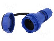 Connector: AC supply; female; socket; 2P+PE; 250VAC; 16A; blue PCE